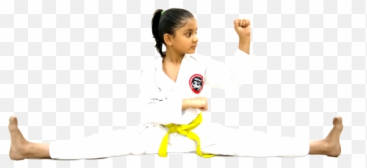 World Traditional Shotoryu Karate Association - Kung Fu Png,Martial Arts Png