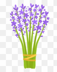 Clipart - Lavender Clipart Png Free,Lavender Png