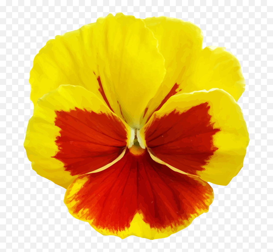 All Photo Png Clipart - Yellow Pansy Flower Png Transparent Pansy Flower Png,Violets Png