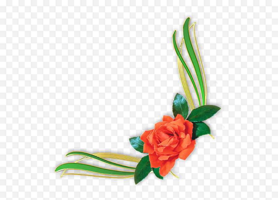 Download Flower Portable Rose Design Graphics Floral Border - Flower Png,Roses Border Png