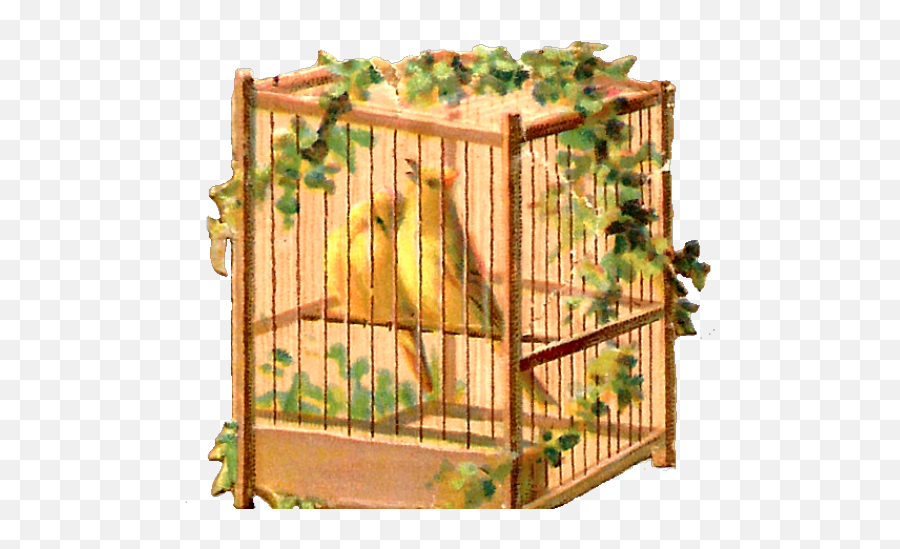 Cage Clipart Yellow Bird - Cage Transparent Cartoon Jingfm Clip Art Png,Bird Cage Png
