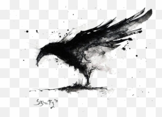 Sketch Raven - Black And White png