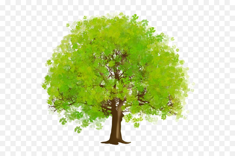 Arbre Tubes Png Ief Pinterest Arbretubespng - Green Trees Clipart Tree Png,Espn Png