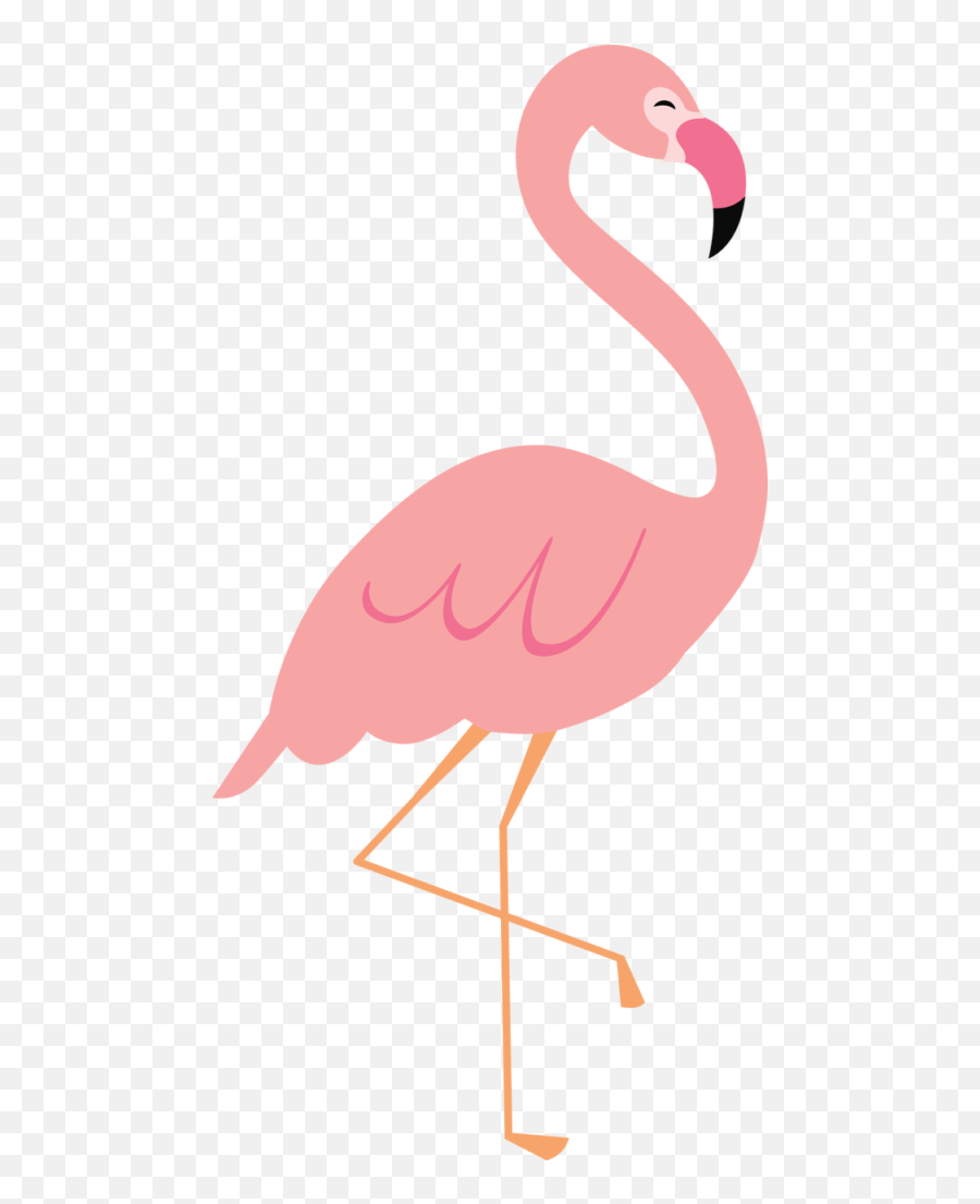 Contact - Clip Art Flamingo Png,Flamingo Clipart Png