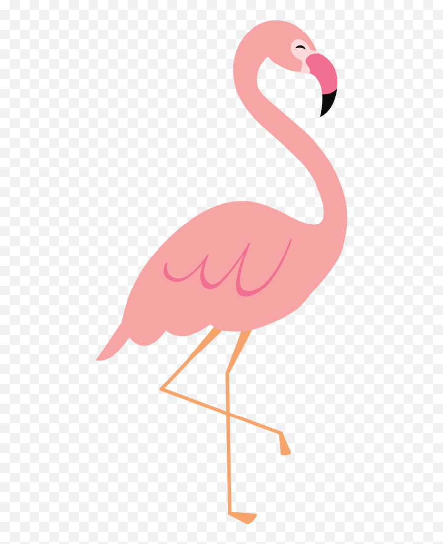 Download Contact Clip Art Flamingo Png Flamingo Clipart Png Free Transparent Png Images Pngaaa Com