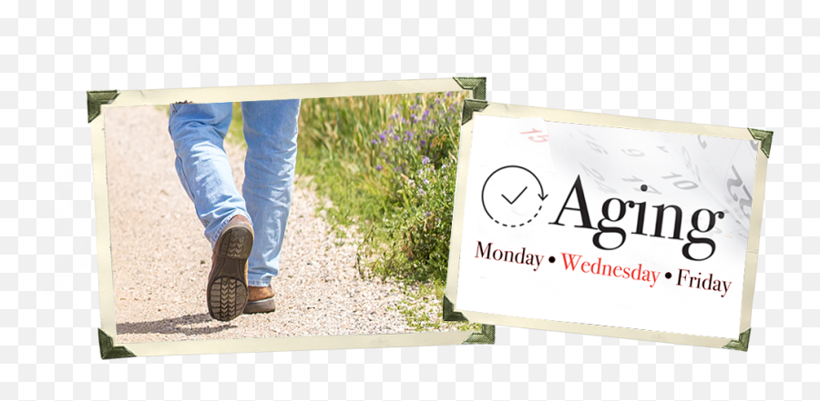 Aging Monu2022wedu2022fri - Keep Walking Straight Leg Png,Side Walk Png