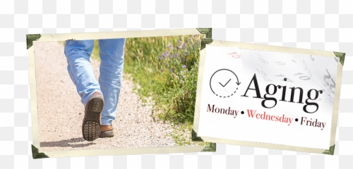 Aging Monu2022wedu2022fri - Keep walking Straight Leg png