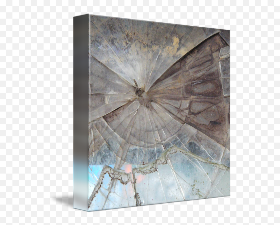 Shattered Glass Heidi Brandt By Gypsy Chicks Photography - Paintings Of Broken Glass Png,Cracked Glass Transparent