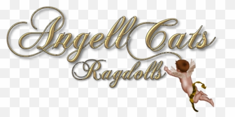 Ragdoll Kittens Connecticut - Love Quotes In Spanish Png,Ragdoll Logos