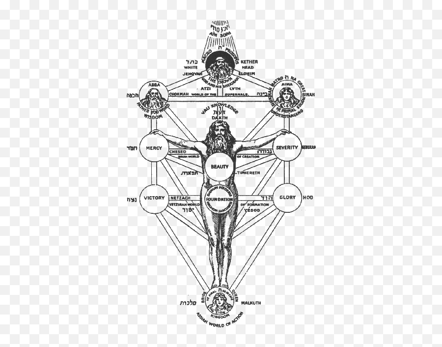 Tree Of Life Occult - Sepher Yetzirah Png,Tree Of Life Transparent