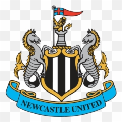 Newcastle Vs Southampton Live Premier League 20182019 - Fc Logo png