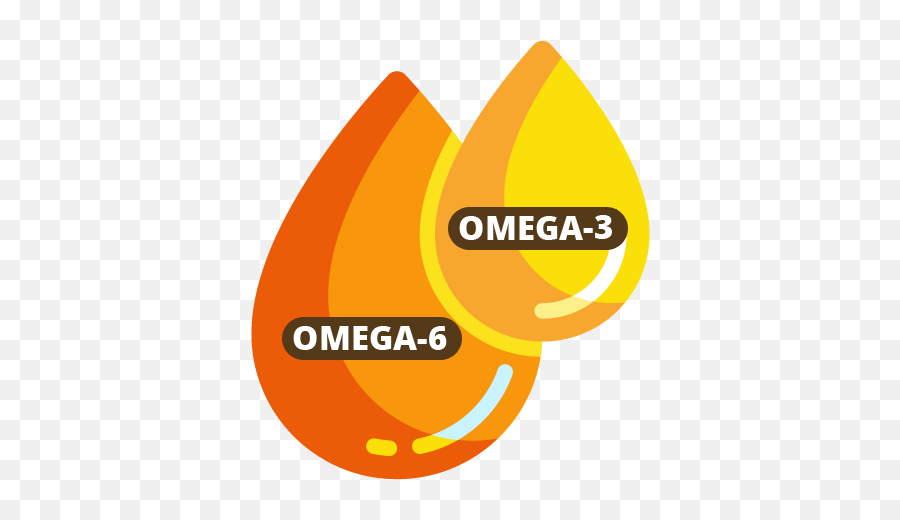 Omega Healthcare Logos - Omega 3 Omega 6 Icon Png,Omega Icon