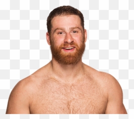 Sami Zayn Official Merchandise - Sami Zayn Wwe Champion Png,Sami Zayn Png