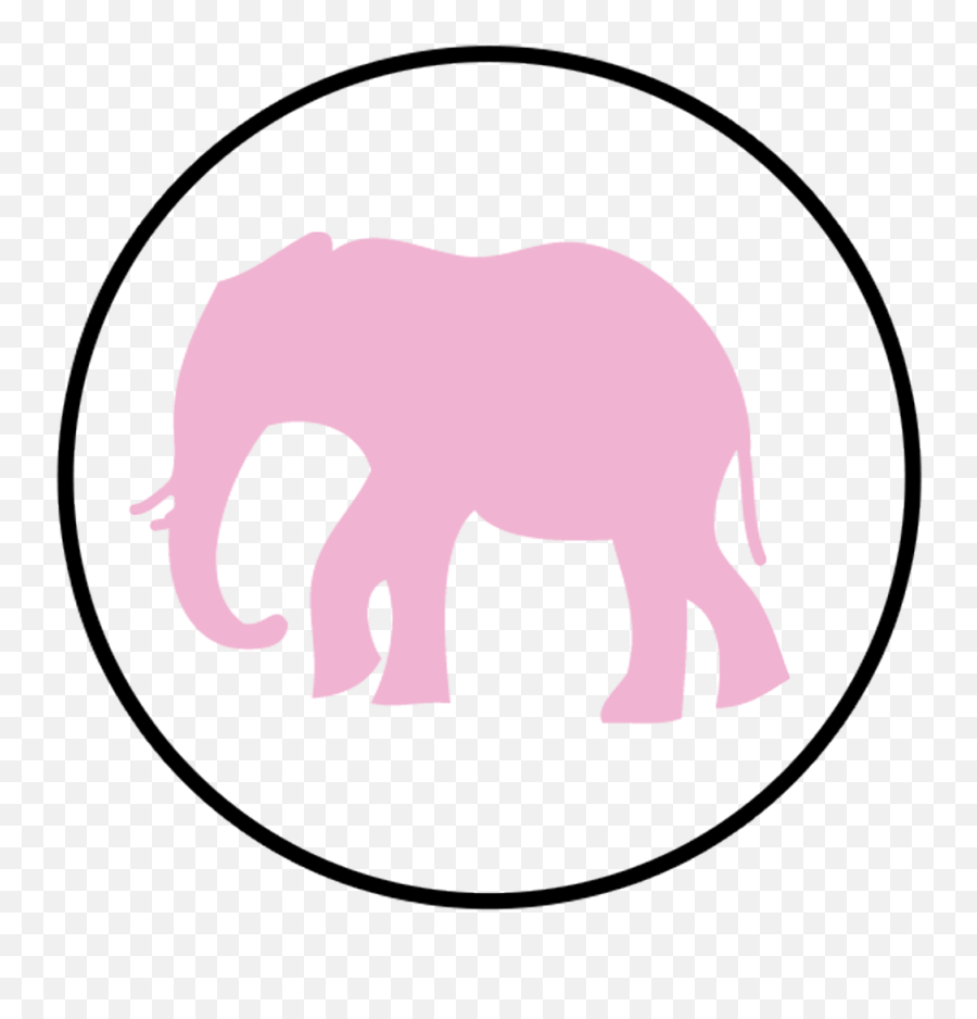 Download Hd Experience Goat Yoga - Indian Elephant Animal Figure Png,Elephant Icon Png