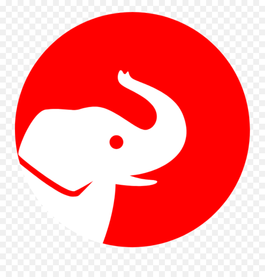 Favicon Not Loading Wrong Cached - Developer Help Ghost Language Png,App With Elephant Icon