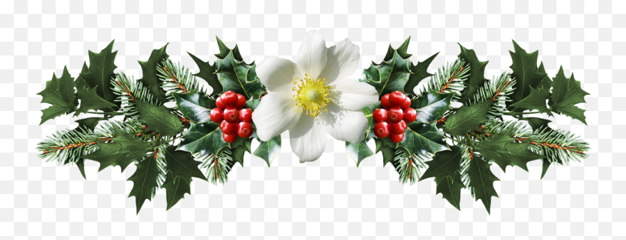 Mistletoe Png Transparent Images All - Mistletoe Png,Christmas Holly Png