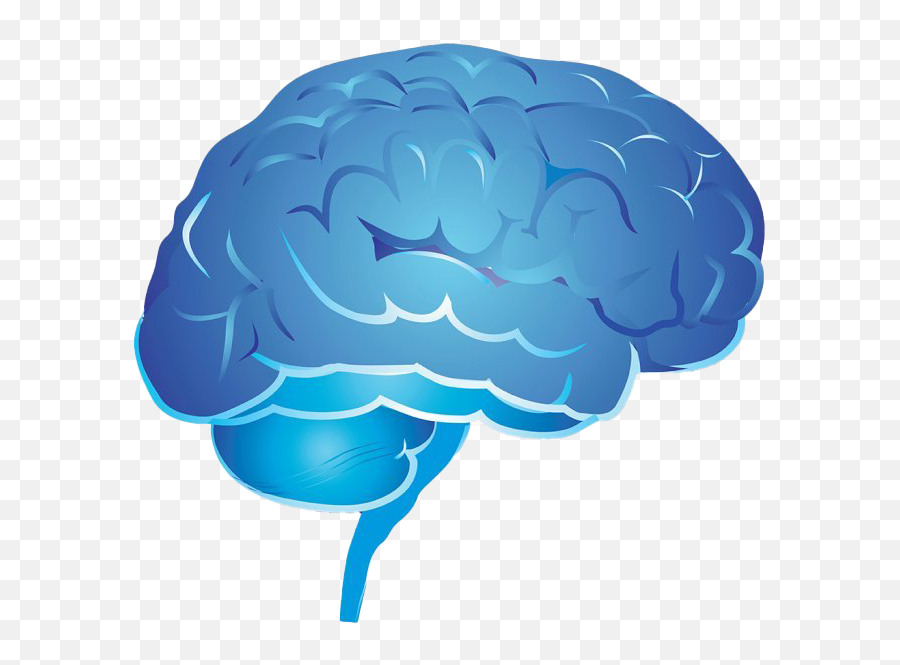Blue Brain Png Image Transparent Arts - Blue Brain Png,Brain Transparent Background
