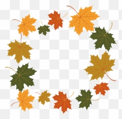 Maple Leaf Euclidean Vector Illustration - Vector Canada Leaf png