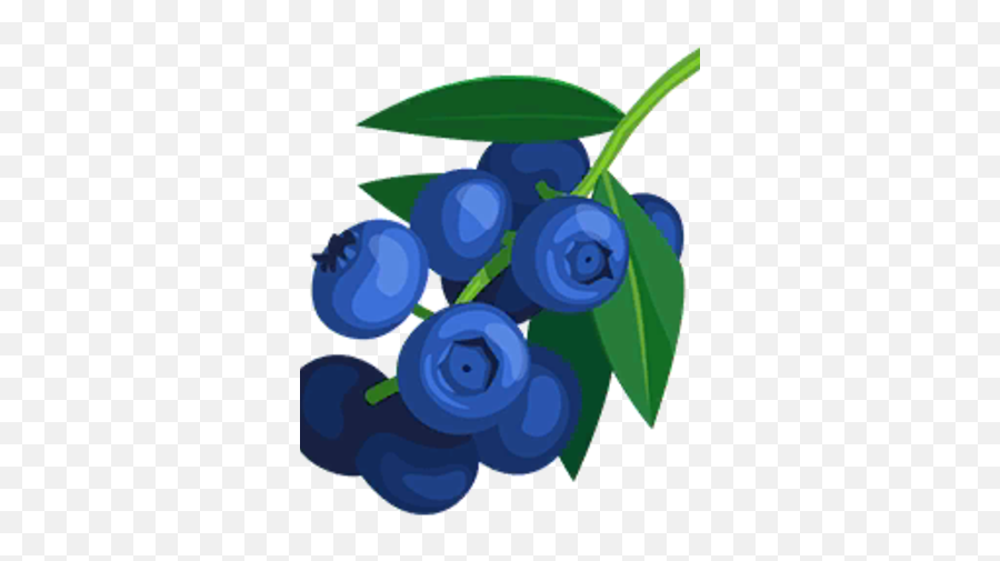 Blueberries Png