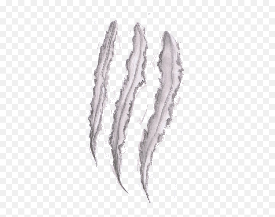 Delonar - Wolf Claw Marks Drawing Png,Claw Mark Png