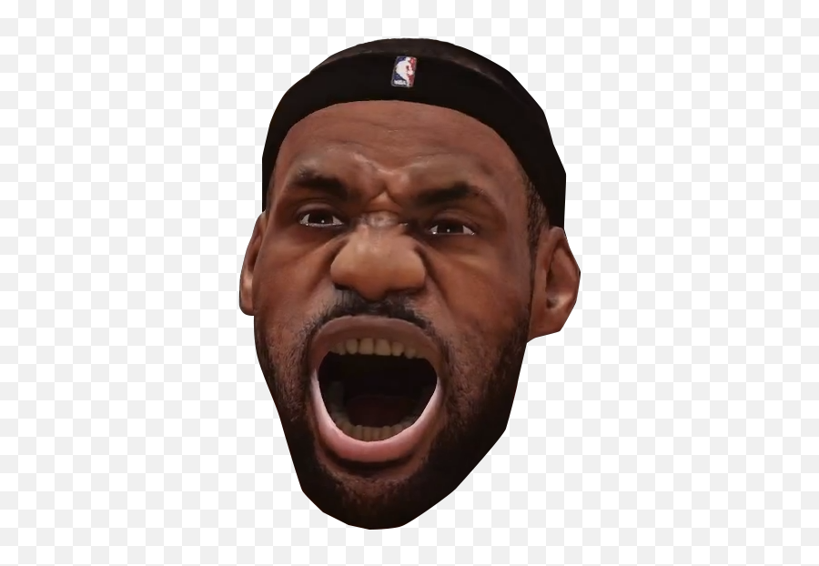 Lebron Face Png 4 Image - Lebron Face Png Funny,Lebron Face Png