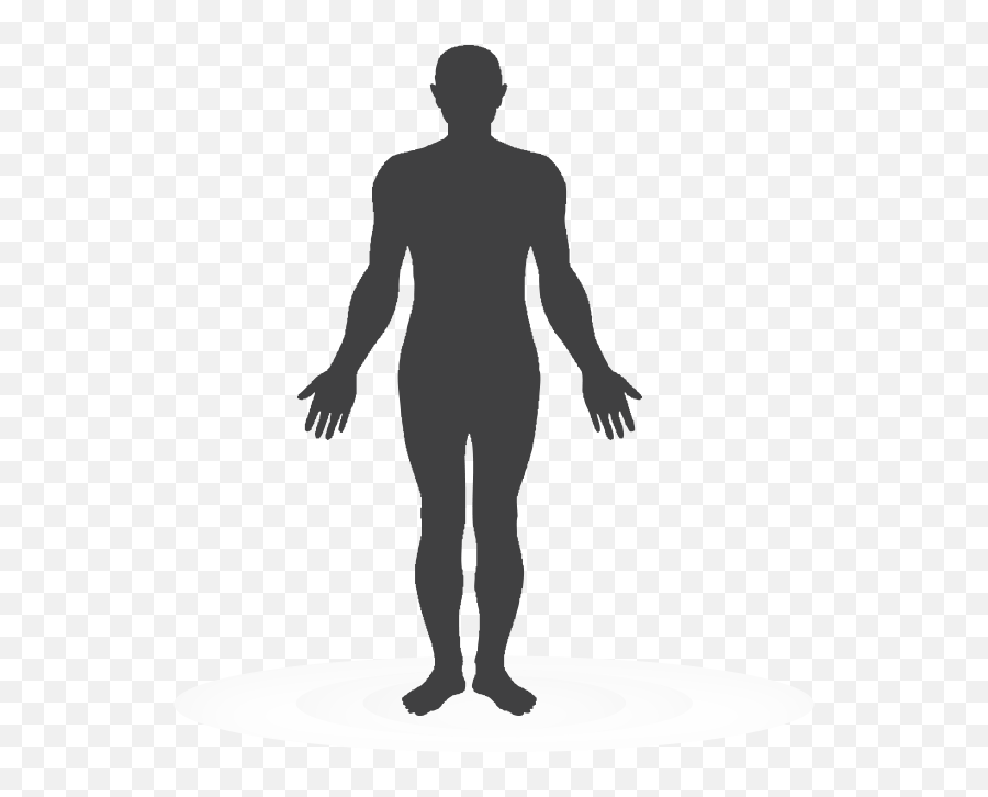 Human Body Png Download - Silhouette Human Body Png,Human Body Png