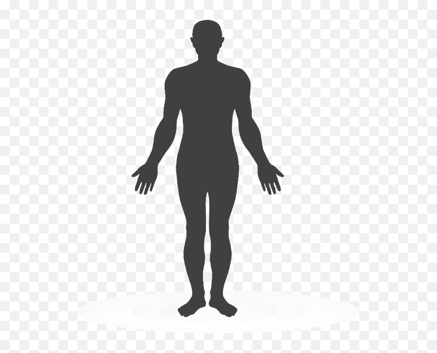 Body png. Силуэт человеческой фигуры. Силуэт человека прозрачный. Тело человека. Человеческое тело.