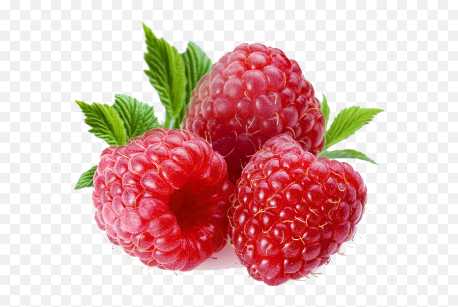Png Transparent Raspberry - Rasp Berries,Raspberries Png