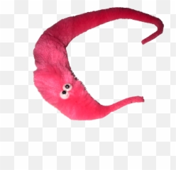 Pin - Flamingo Png,String Png