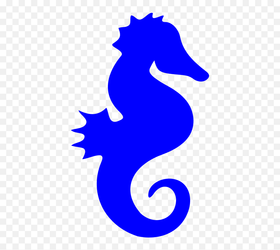Seahorse Sea Horse Fish - Free Vector Graphic On Pixabay Animal Silhouette Png,Sea Horse Png