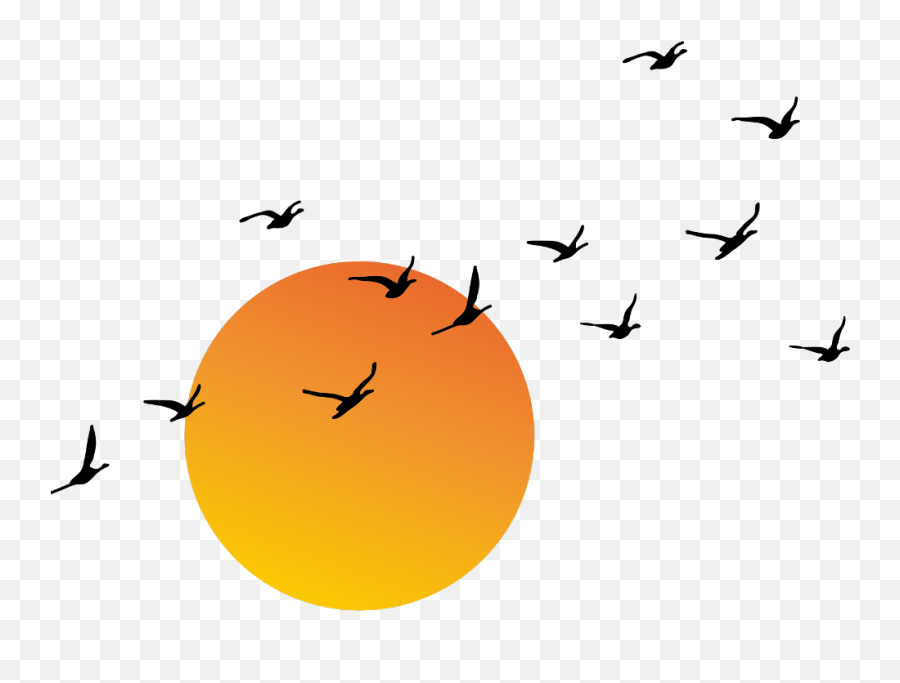 Sun Sunrise Sunset Sunny Sunlight Freetoedit Remix - Sun And Birds Png,Sunlight Png