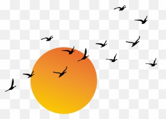 Sun Sunrise Sunset Sunny Sunlight Freetoedit Remix - Sun And Birds Png