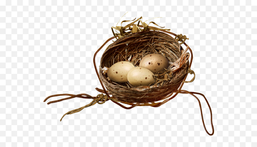 Bird Nest Egg For Easter - 1937x1409 Twig Png,Bird Nest Png