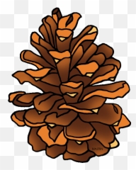 Clipart Pine Cone - Png Download Full Size Clipart Cartoon Pine Cones Png,Pine Cone Png