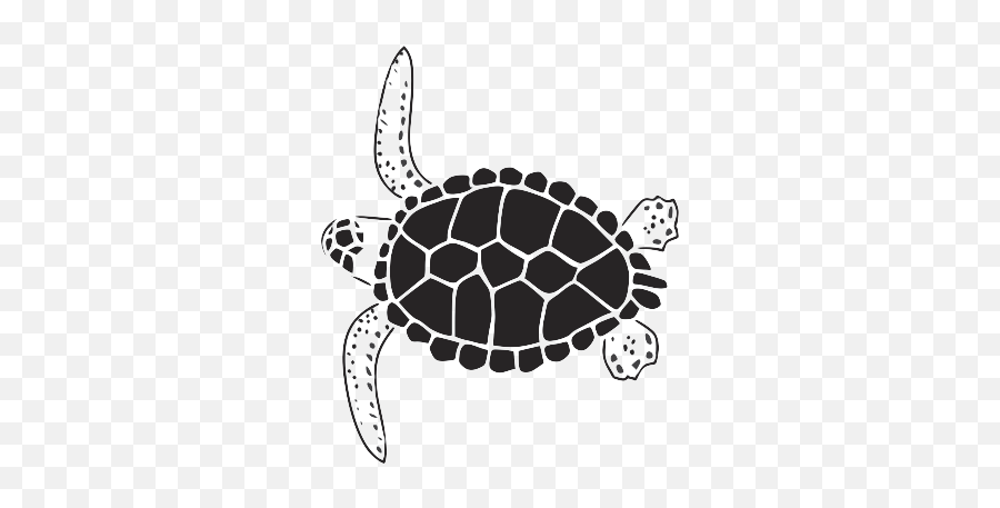 Turtle Graphic - Turtle Graphics Full Size Png Download Hawksbill Sea Turtle,Turtle Png
