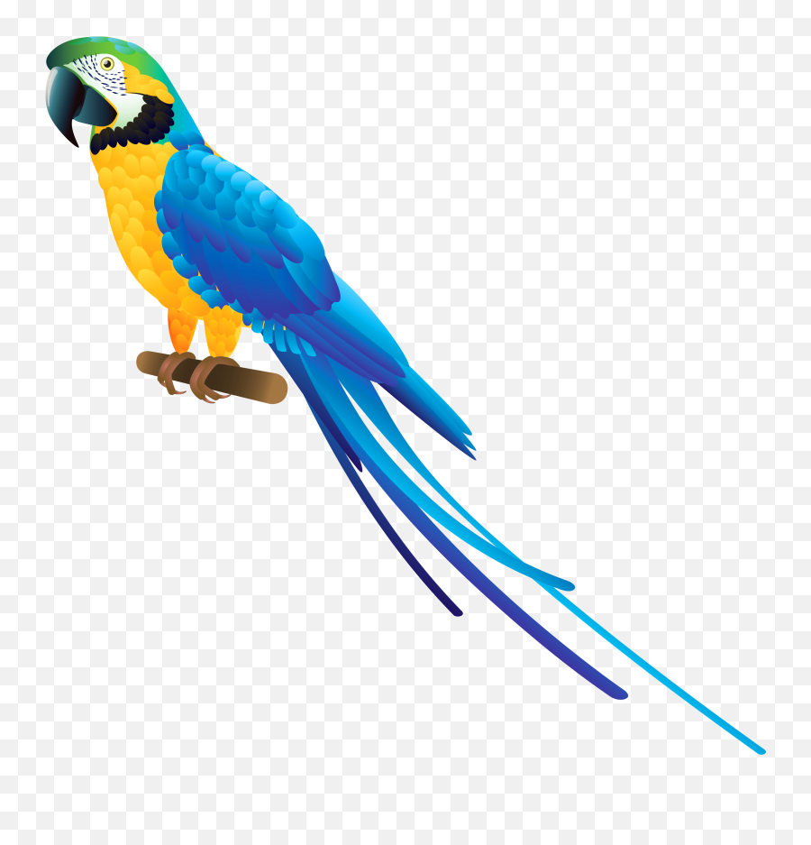 Parrot Clipart Png - Transparent Background Parrot Clipart,Parrot Transparent