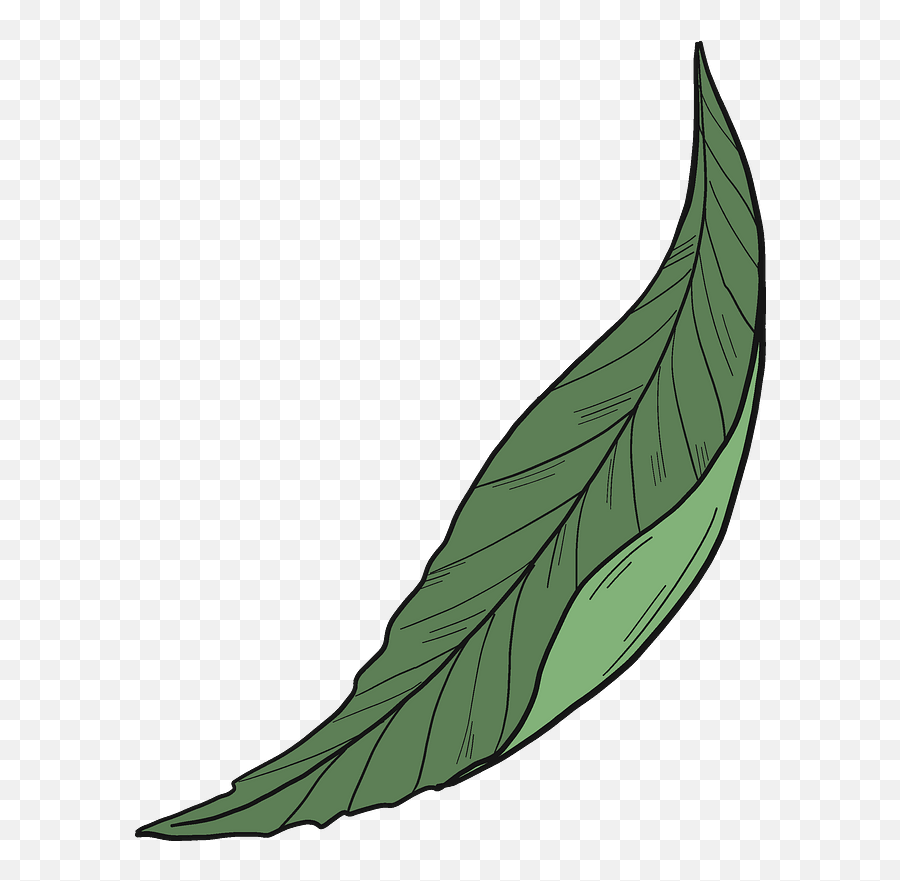 Peach Leaf Clipart - Clipart Peach Leaf Png,Leaf Clipart Transparent