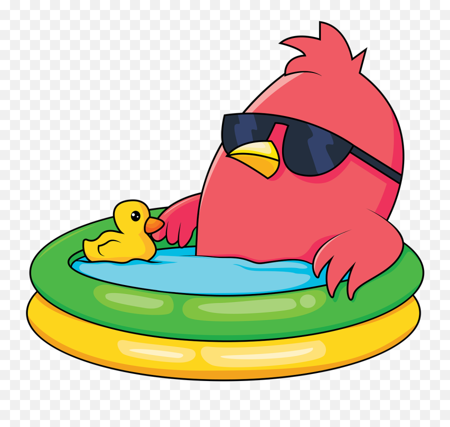 Cartoon Bird Swimming - Swimming Cartoon Small Pool Png,Cartoon Bird Png