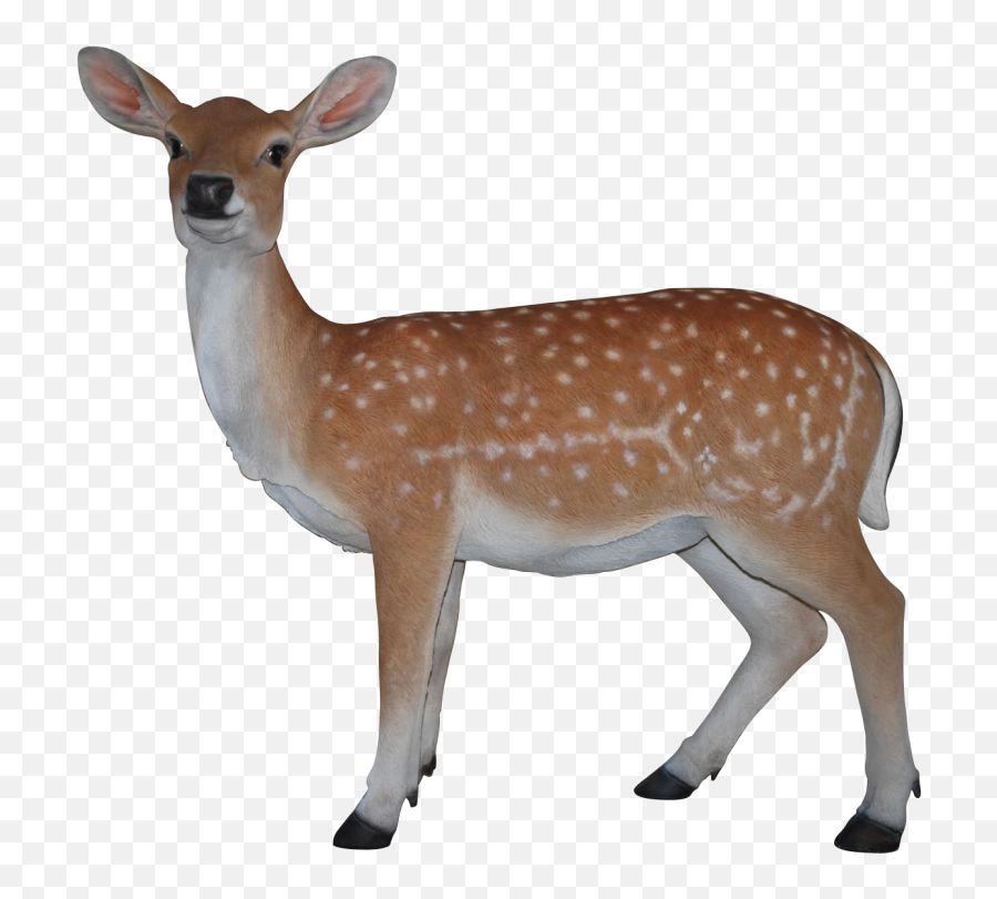 Deer - Transparent Deer Clipart Png,Deer Transparent