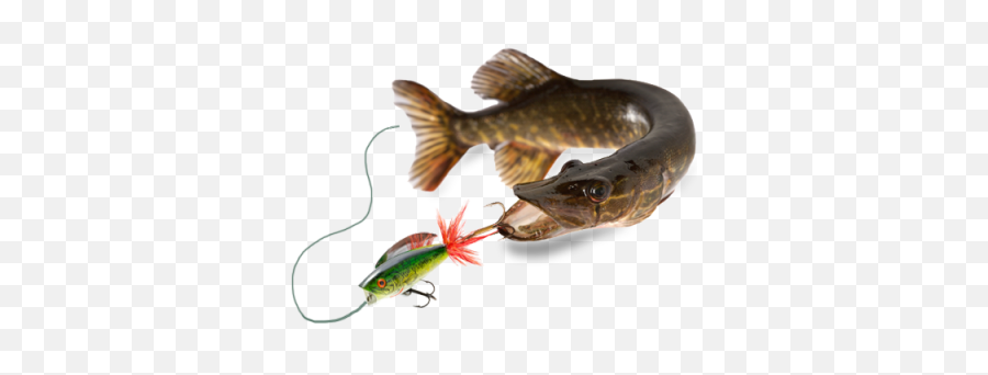 Lure Png And Vectors For Free Download - Pike Png,Fishing Lure Png