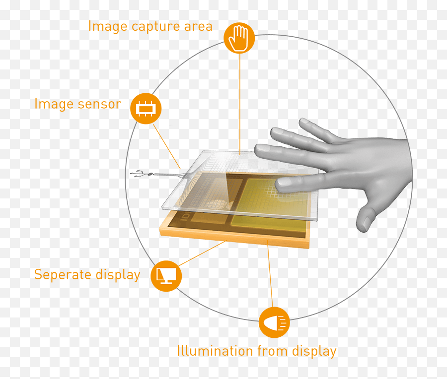 Technology - Tft Optical Fingerprint Sensor Png,Fingerprint Transparent