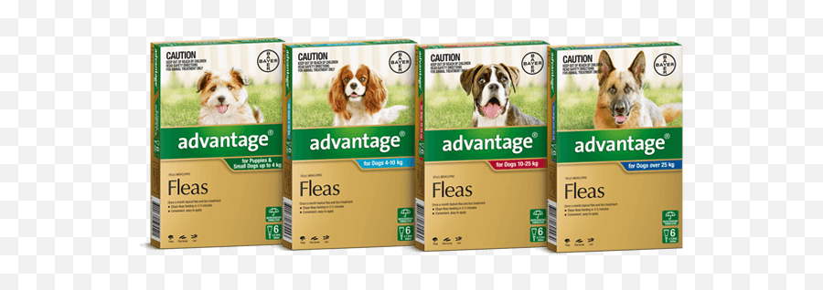 Advantage For Dogs Puppies - Advantage Flea Treatment For Dogs Png,Puppies Png