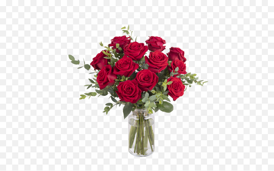 Gran Romance 12 Rosas Rojas - Lovely Png,Rosas Rojas Png