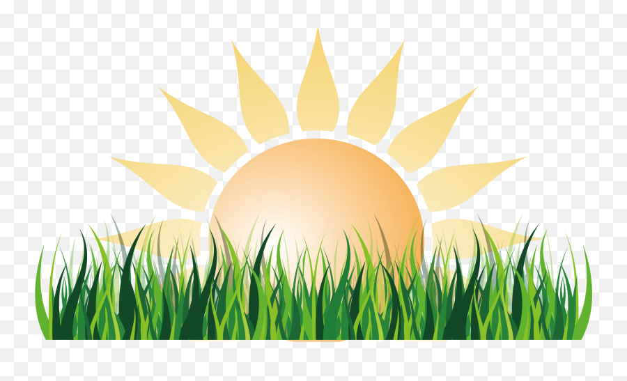 Sunlight Euclidean Vector - Sun And Grass Png Transparent Sun And Grass Png,Sun Vector Png