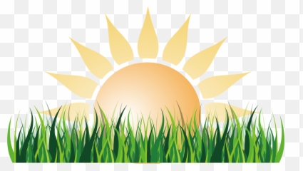 Sunlight Euclidean Vector - And Grass Png Transparent