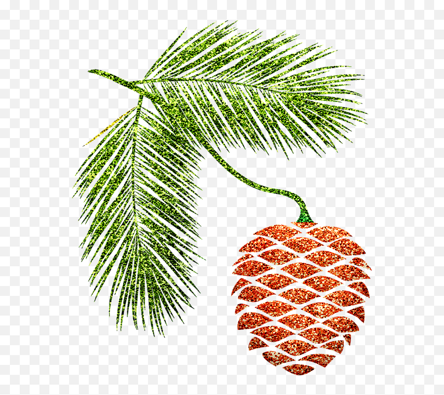 Pine Cone Branches Autumn - Pine Png,Pine Branch Png