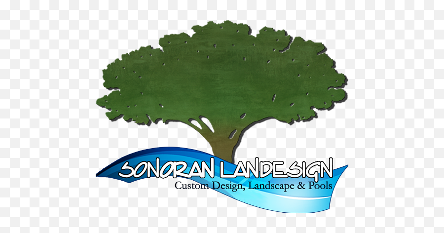 Scottsdale Custom Landscape Design Png Icon