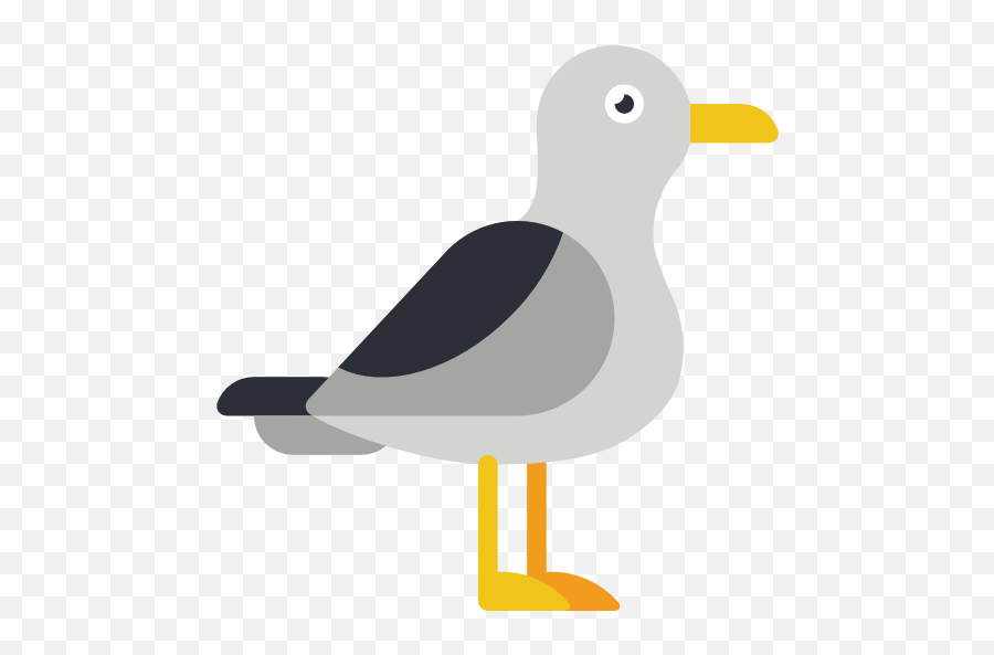 Seagull Free Vector Icons Designed - Möwe Icon Png,Seagull Icon