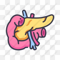 Pancreas - Icon png