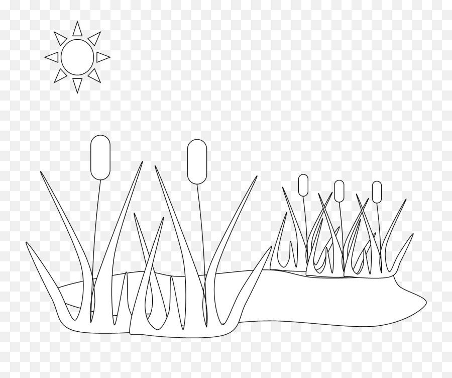 Png Free Pond Outline - Clip Art,Pond Png